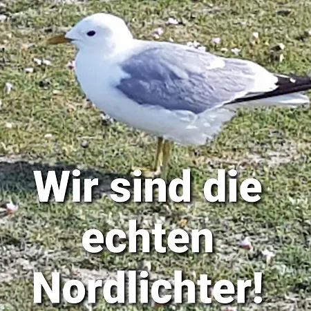 Nordsee Im Kuenstlerhaus Bei Husum - Keine Monteure Arbeiter 아파트